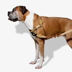 Zee.Dog Soft Walk Harness -Geschäft Für Tierbedarf zeedog soft walk harness 200678 1000 none